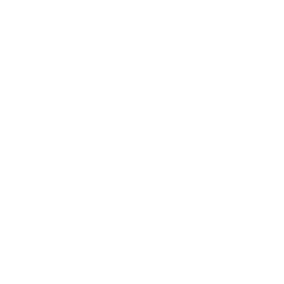 Nuits icon (A white moon with the shape of the letter N)